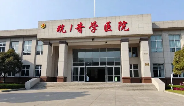 黄页性能优化:如何匹配不同行业的使用需求