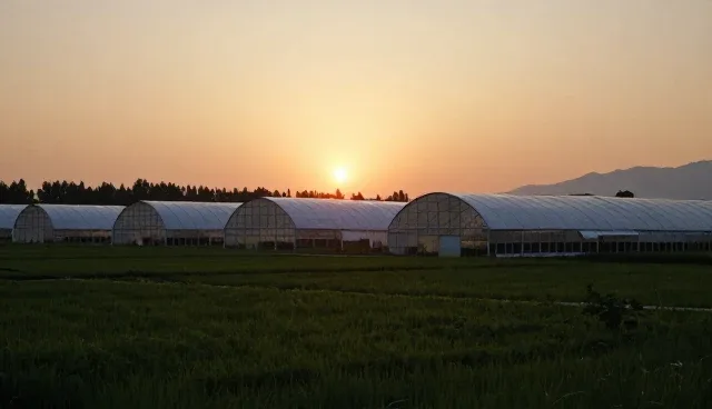 网站 建设公司如何提升客户体验